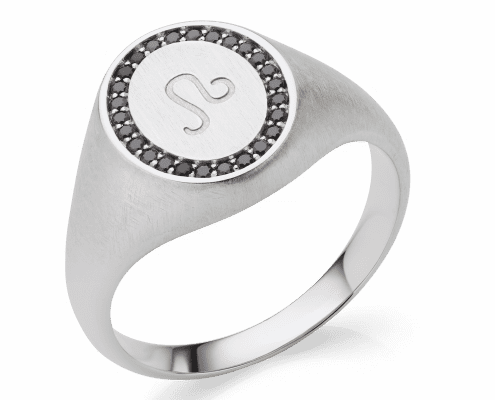 rauschmayer-jewelry_ring_00310_wg-original_standing