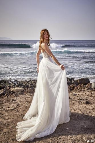 162 Liebreiz EM-7753 back (1)