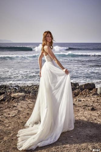 162 Liebreiz EM 7753 back (1)