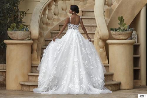 211 Liebreiz DEM 1223 back (1)