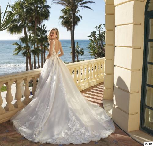 212 Liebreiz DEM 1226 back (1)