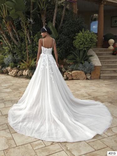 213 Liebreiz DEM 1231 back (1)