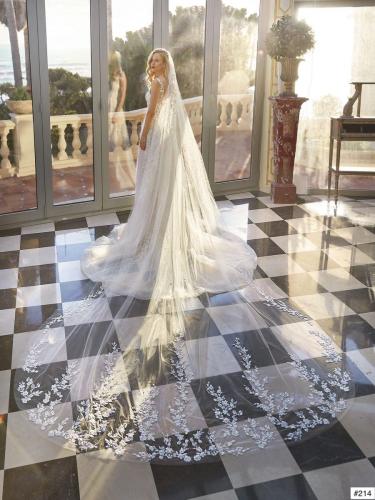 214 Liebreiz DEM 1235 back (1)