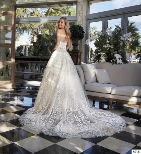 215 Liebreiz DEM 1243 back (1)