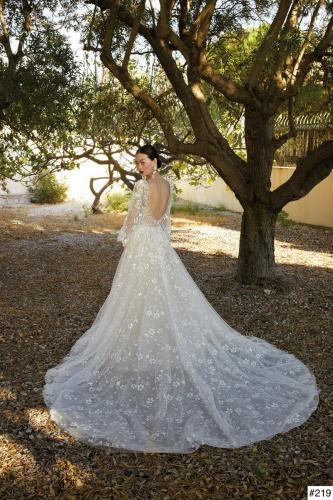 219 Liebreiz DEM 200160 back (1)