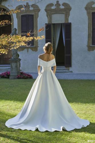 222 Liebreiz DEM 8161 back (1)