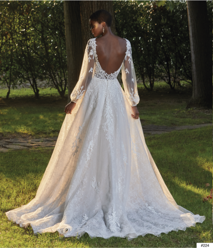 224 Liebreiz Comsobella 8184 back (1)