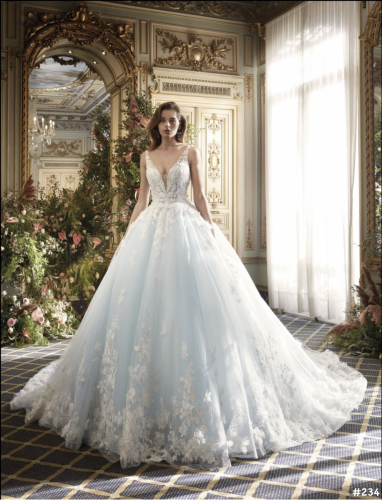 234 Liebreiz DEM DP495 (1) (1)