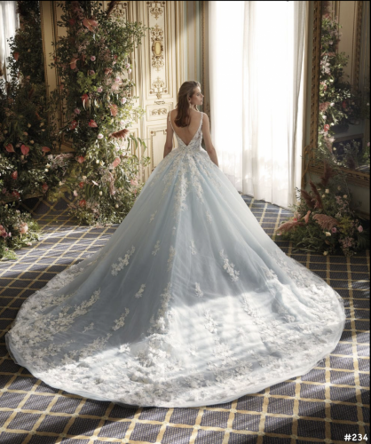 234 Liebreiz DEM DP495 back (1) (1)