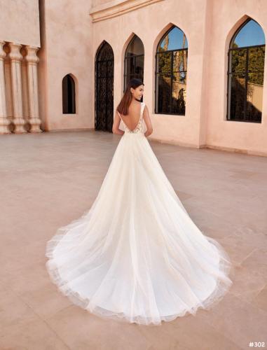 302 Liebreiz DEM 1077 back (1)