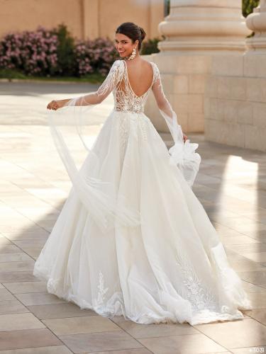 3031 Liebreiz VA 2517 back (1)