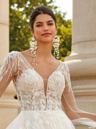 3031 Liebreiz VA 2517 detail (1) (1)