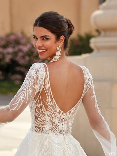 3031 Liebreiz  VA 2517 back1 (1) (1)