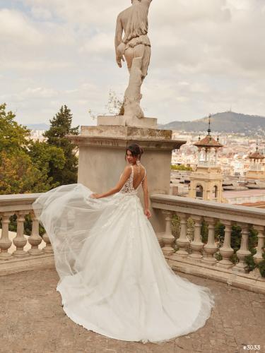 3033 Liebreiz VA 2516 back (1) (1)