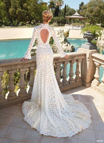 3037 Liebreiz VA 25116 back (1)