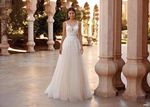 303 Liebreiz DEM 1080 (1)