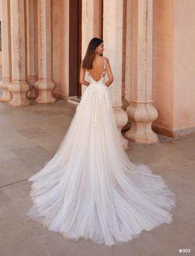 303 Liebreiz DEM 1080 back (1)