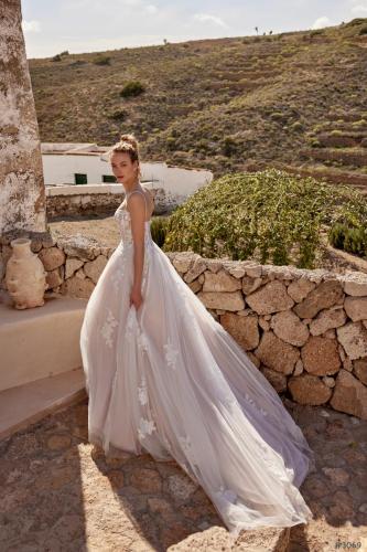 3069 Liebreiz LW 66366 back (1)