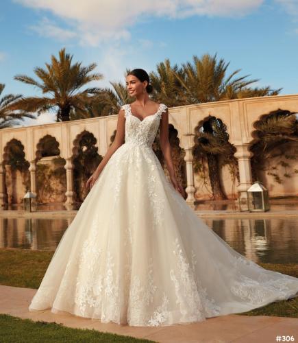 306 Liebreiz DEM 1092 (1)