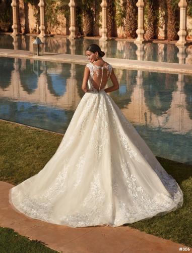 306 Liebreiz DEM 1092 back (1) (1)