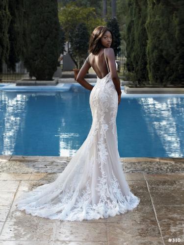 310 Liebreiz DEM 1182 back1 (1) (1)