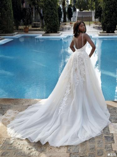 310 Liebreiz DEM 1182 back (1)