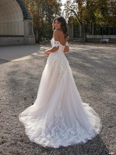 3115 Liebreiz LDD 50812 back1 (1) (1) (1)