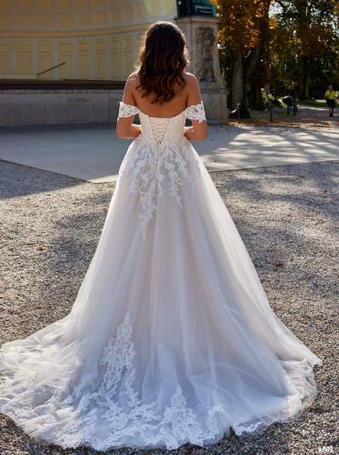 3115 Liebreiz LDD 50812 back (1) (1)