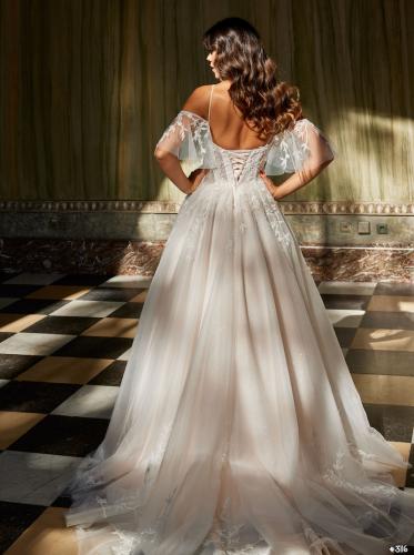 3116 Liebreiz LDD 50832 back (1)