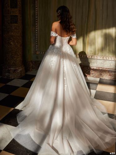 3117 Liebreiz LDD 50806 back (1) (1) (1)