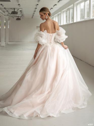 3120-Liebreiz-DL 8117 back (1)