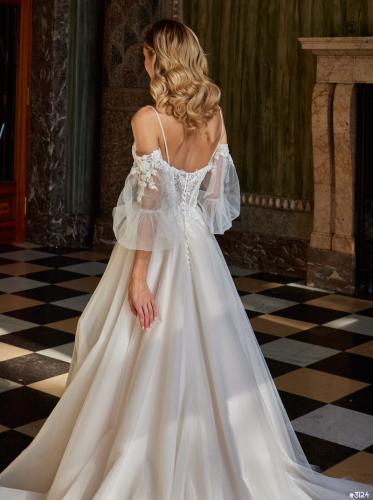 3124 Liebreiz LDD 50802 back (1)