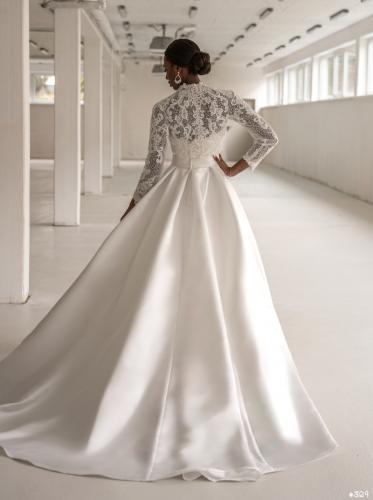 3129 Liebreiz-DL 1905 back (1)