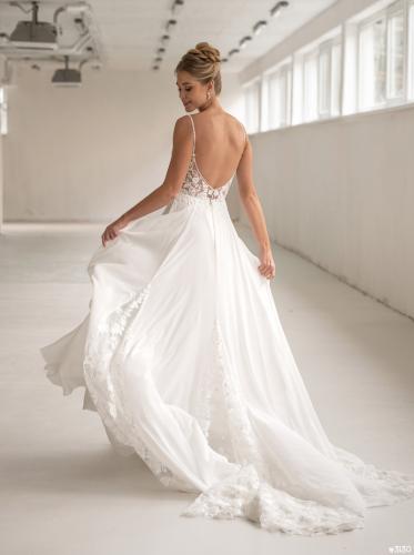 3130 Liebreiz LDD 2510 back (1)