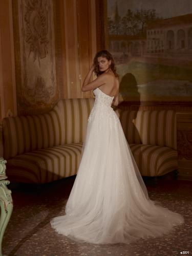 3159 Liebreiz DEM 1259 back (1)