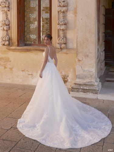 3160 Liebreiz-DEM 1262 back (1)