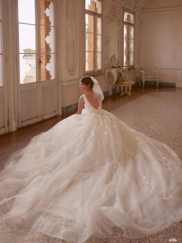 3161 Liebreiz DEM 1263 back4 (1) (1)