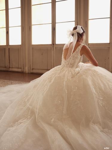 3161 Liebreiz DEM 1263 back5 (1)