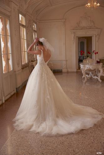 3161 Liebreiz DEM 1263 back (1) (1)