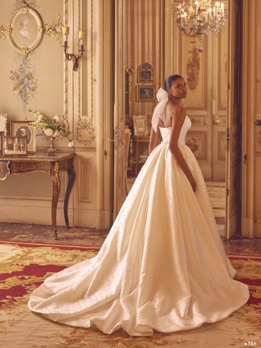 3164 Liebreiz-DEM 1288 back1 (1)