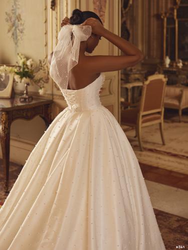 3164 Liebreiz DEM 1288 back3 (1)