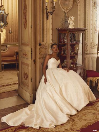 3164 Liebreiz DEM 1288 detail1 (1)