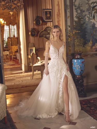 3165 Liebreiz-DEM 1293 (1)