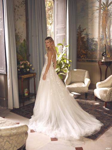 3165 Liebreiz-DEM 1293 back (1) (1)