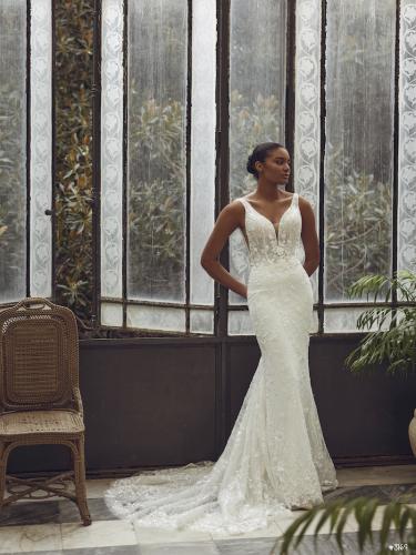 3169 Liebreiz DEM 1308 (1)