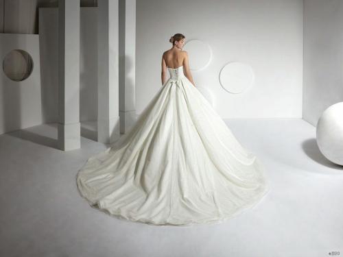 3170 Liebreiz AM AM46 back1 (1)