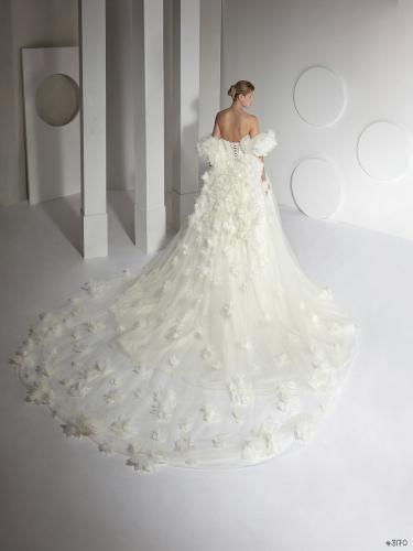 3170 Liebreiz AM AM46 back (1)