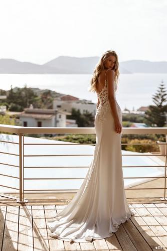 3173 Liebreiz DEM DR397 back (1)