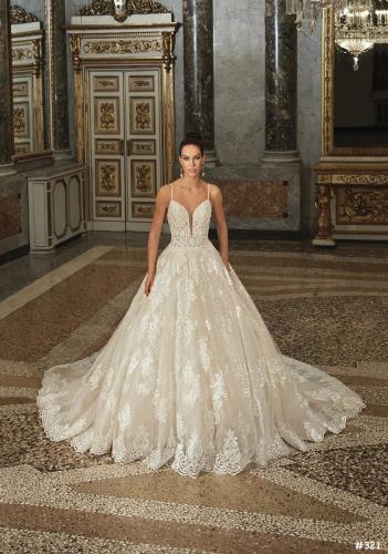 321 Liebreiz DEM DP461 (1)