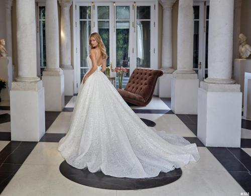 322 Liebreiz DEM DP462 back (1)